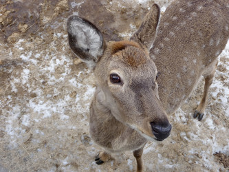 Similar image 275050