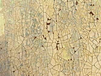 Similar image 275082