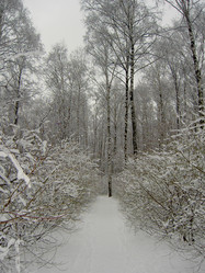 Similar image 275083