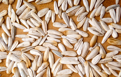 Similar image 275107