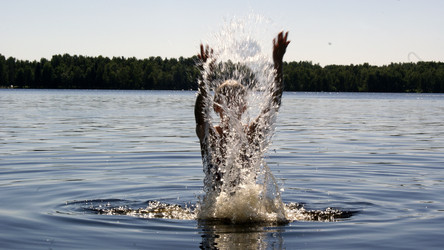 Similar image 275132