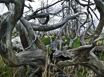 Similar image 275154