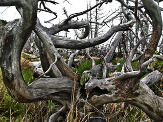 Similar image 275155