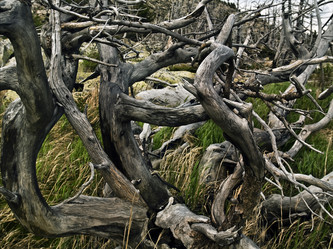 Similar image 275156