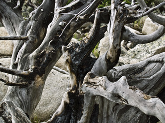 Similar image 275158