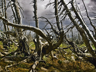 Similar image 275159