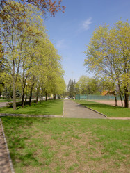 Similar image 275198