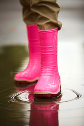 Similar image 275206