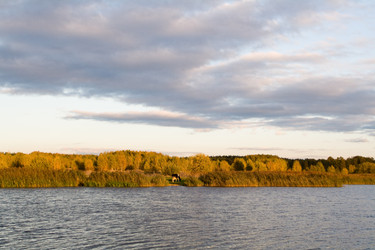 Similar image 275207