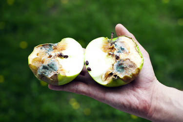 Similar image 275219