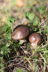 Similar image 275230