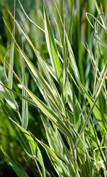 Similar image 275237