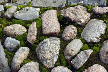 Similar image 275241