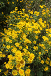 Similar image 275247