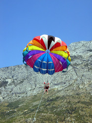 Similar image 275269