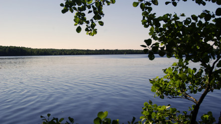 Similar image 275273