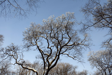 Similar image 275283