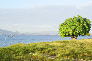 Similar image 275349