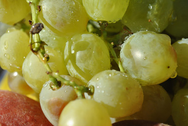 Similar image 275351