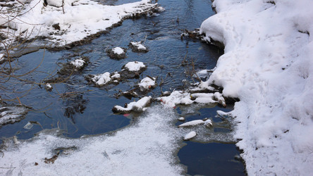 Similar image 275358