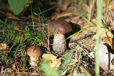 Similar image 275394