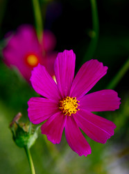 Similar image 275431