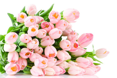 Similar image 275432