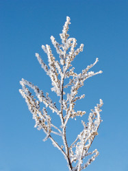 Similar image 275436