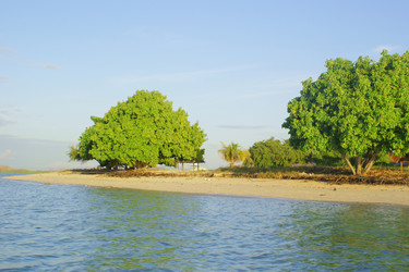 Similar image 275443