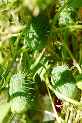 Similar image 275467