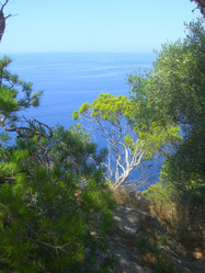 Similar image 275588