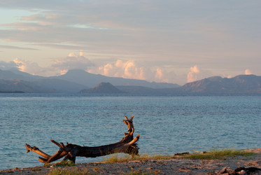 Similar image 275596