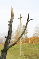 Similar image 275651