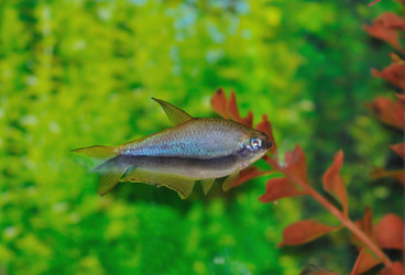 Similar image 275835