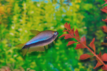 Similar image 275837