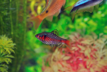 Similar image 275838