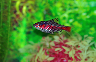 Similar image 275840