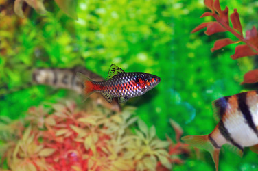 Similar image 275842