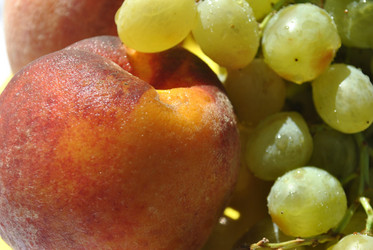 Similar image 275844