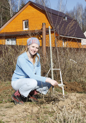 Similar image 275848