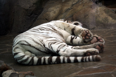 Similar image 275880