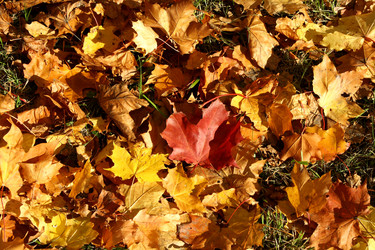 Similar image 275939