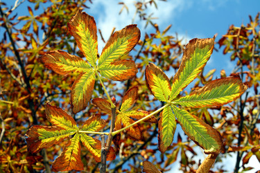 Similar image 275943