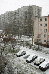 Similar image 275953