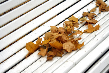 Similar image 276005