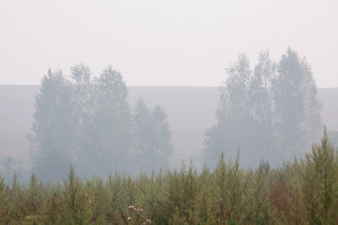 Similar image 276027