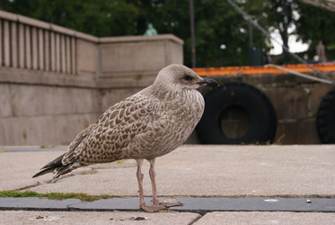 Similar image 276041