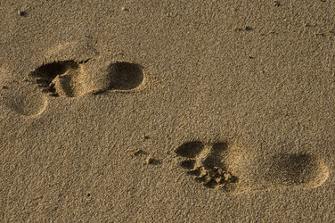 Similar image 276056