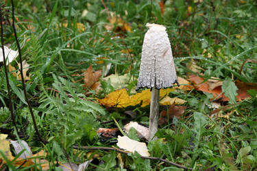 Similar image 276075