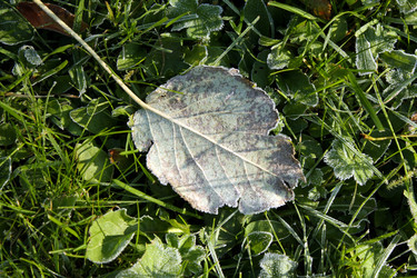 Similar image 276077